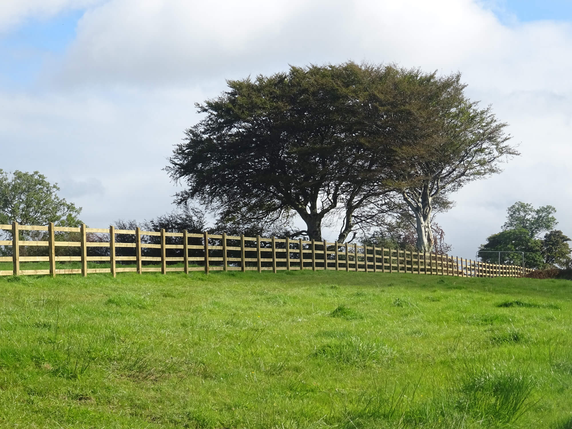 Timber Post_Rail Fencing 
